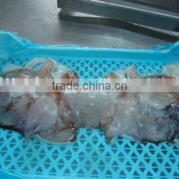 Frozen Giant Squid Neck photo-2