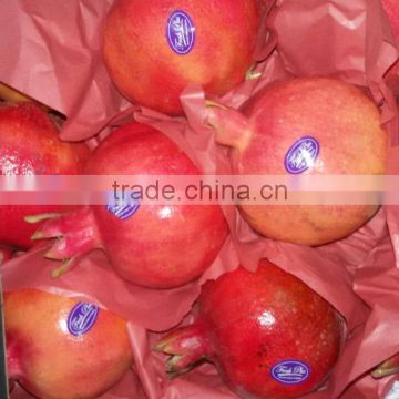 Fresh Pomegarantes from Egypt, (250-500gm)