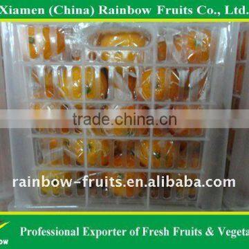 Navel orange, high quality