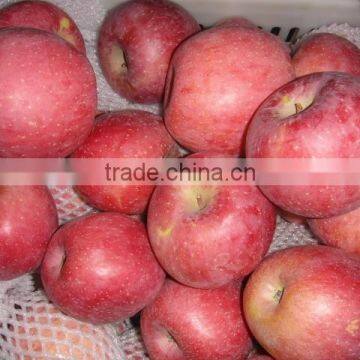 Fresh Qinguan Apple photo-2