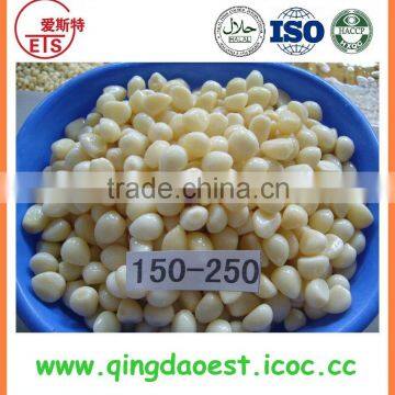 New Crop Preserved chinese factory Garlic clove in brine