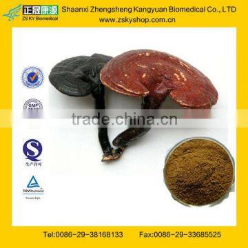 Red Reishi Mushroom Extract from GMP Manufacturer