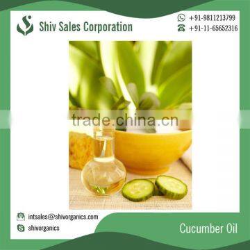 Widely Used Natural Cucumber Oil Available for Bulk Purchase