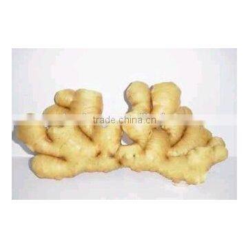 All The Year Provide Size 100g/200g Ginger photo-4