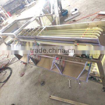 Litchi Sorting Machine, Grading Machine photo-4