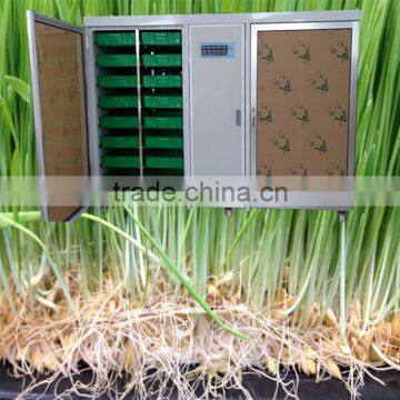 CE Certificate Trade Assurance barley for sprouting