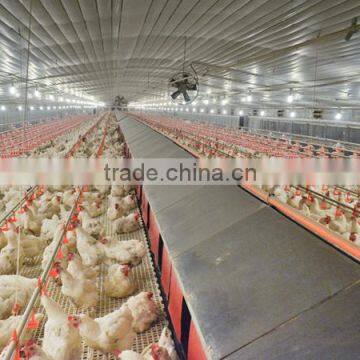 automatic rearing breeders chicken farm equipment