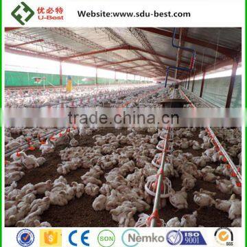 hot sale broiler breeder chicken poultry breeding houses