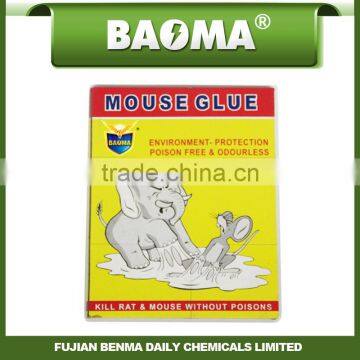 mouse glue trap