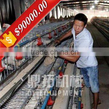 Automatic egg collection equipment A type automatic pullet farm equipment