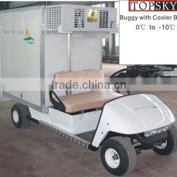 Gasoline Powered Golf Cart with Cooler Bin