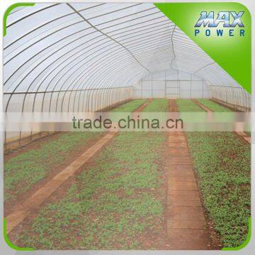EU Standard Plastic Film Greenhouse photo-3