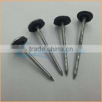 Top Quality Galvanised Roofing Nail With Umbrella Head Trusted Chuanghe Suppliers From Com photo-2