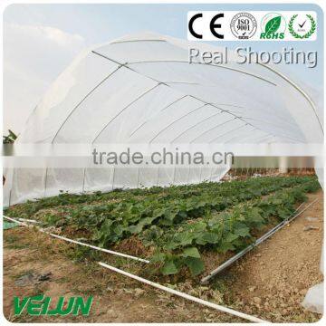 Polypropylene Woven Fabric 100% PP Nonwoven Fabric Fruit Bag photo-2