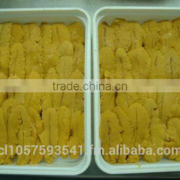 UNI Sea Urchin photo-6