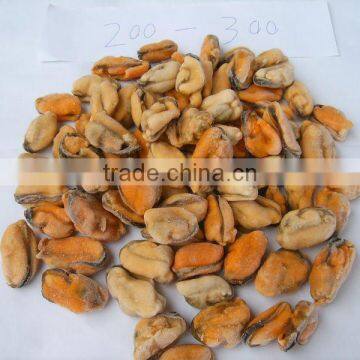 frozen boiled blue mussel meat