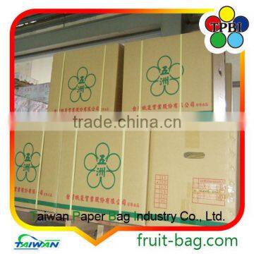 Brown Kraft Paper Bag Pineapple Protection Paper Bag Brown Pineapple Growing Paper Bag photo-2