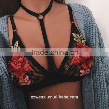 Embroidered Newly Design Lace Bustier Top Wholesale Bralette sexy girl bikini bra