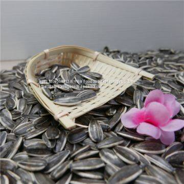 Sunflower Seeds for Export