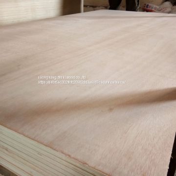 18mm okoume face BB/BB grade plywood for sale