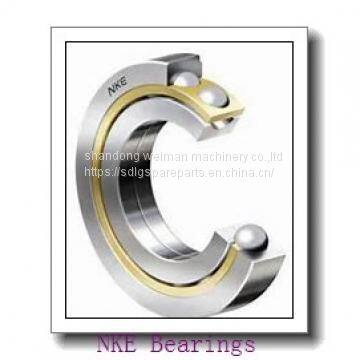 NKE Bearing