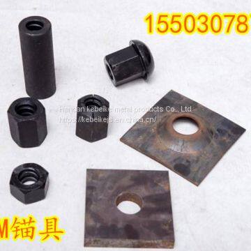 Galvanized Formwork Tie Rod With HDG Tie Nut photo-5