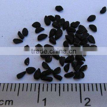 Nigella Sativa / Black Cumin / Kalonji Seed - Exporter, Supplier