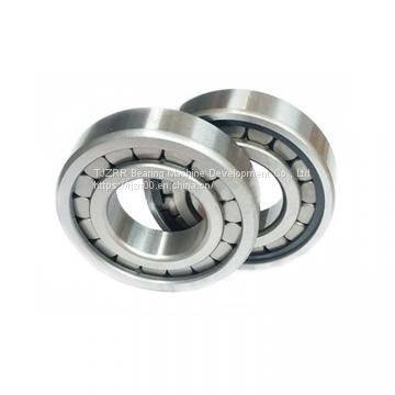 NSK 6205du Bearing