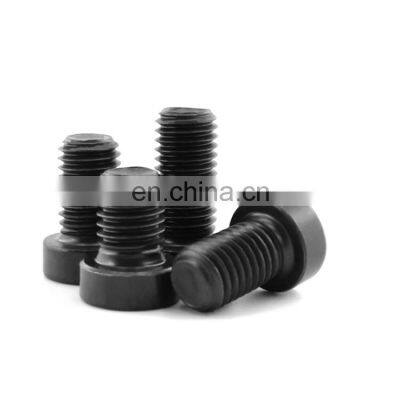 M8 M10 Grade8.8 black zinc galvanized steel hex socket low cap head screw DIN7984