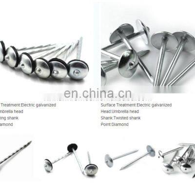 Galvanized Umbrella Head Roofing Nails With Smooth/Twist Shank by Low Price photo-2