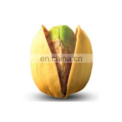 Premium Quality Irani Pistachio 10kg Pistachio Nuts Salted Bulk From China Raw Phil Price Pasta Organic Pistachio Kernels photo-5
