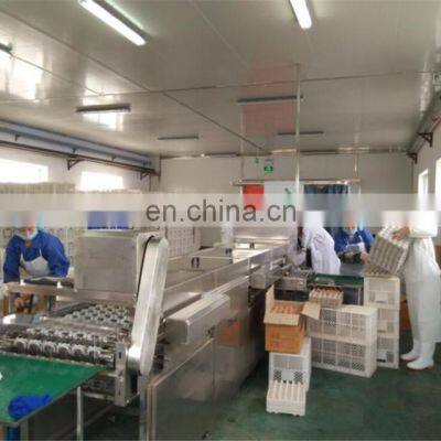 Commercial Egg White Powder Processing Machine photo-5