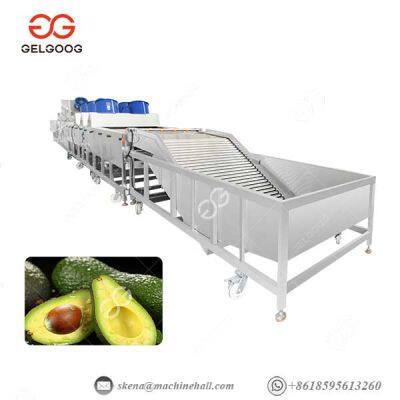 Avocado Fruit Washing Grading And Waxing Processing Line Avocado Washing Machine