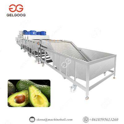 Linha de processamento de lavagem, classificação e cera de frutos de abacate. Máquina de lavar abacate