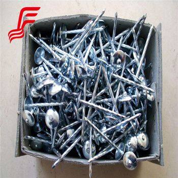 Hot Selling Galvanized Iron Umbrella Roofing Nails Cap Style With Smooth Shank for Steel Roofing Sheet Cheap Option photo-2