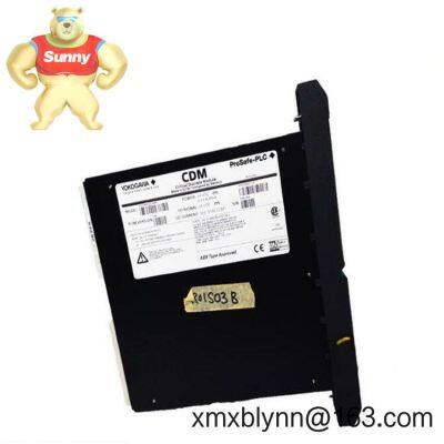 Yokogawa PSCDM024DCBAN: Ihr zuverlässiger Arbeitsspecht für diskrete Ein- und Ausgänge zur Präzisionssteuerung photo-2