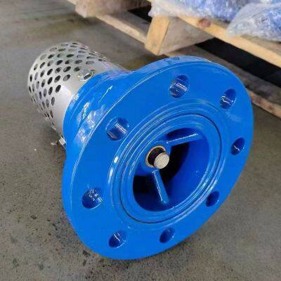 JIS/ANSI/DIN Foot Valve Cast Iron GGG50 Ductile Iron Flange Stainless Steel Filter Strainer Water Pump photo-5