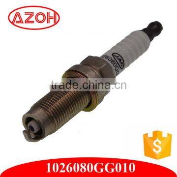 China Auto Parts Spark Plug for JAC 1026080GG010