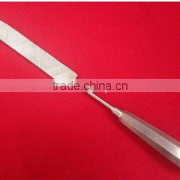 Pet HOOF Nail RASP Double Sided VETERINARY INSTRUMENTS STAINLESS Animal Tools/VETERINARY INSTRUMENTS