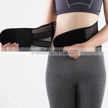 Back lumbar support belt with Steel Stays