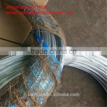 China Factory Hot Sale Hot Dipped Galvanized Wire/galvanized Wire photo-3