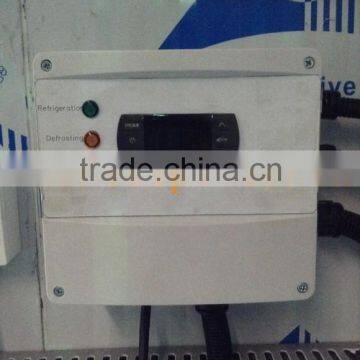 Automatice Closing Sliding Door for Cold Room With Lower Price photo-4