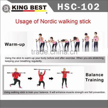 KING BEST Popular 2-SECTION Nordic Walking Stick Carbon Trekking Pole Walking Nordic Walking Stick photo-5