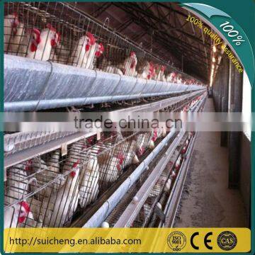 Guangzhou Agricultural Chicken Layer Cage/ Automatic Battery Chicken Cage