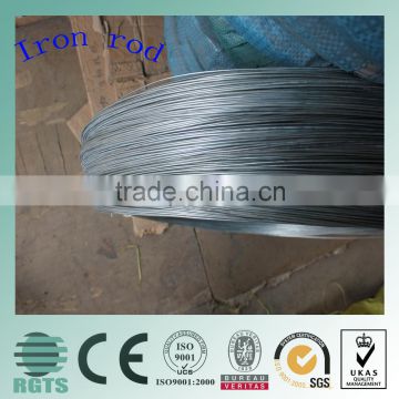 Electro Galvanized Iron Wire for Binding Wire