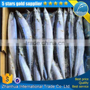 frozen seafood hot sale pacific saury block whole round