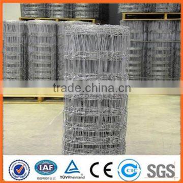 Anping factory Galvanized animal sheep fence wire roll mesh(Factory Price ISO9001-2008)