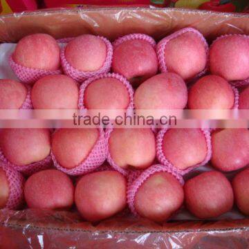 The Best Quality Of Red Delicious apple from China