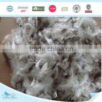 Gray Duck Feather