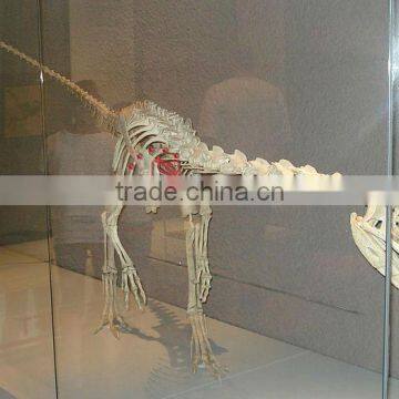 Science Exhibition Dinosaur Models Fiberglass Fossil Of Liliensternus